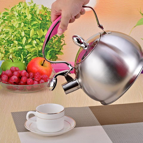 Image of Stainless Steel Whistling Tea Kettle