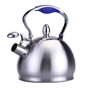 Stainless Steel Whistling Tea Kettle