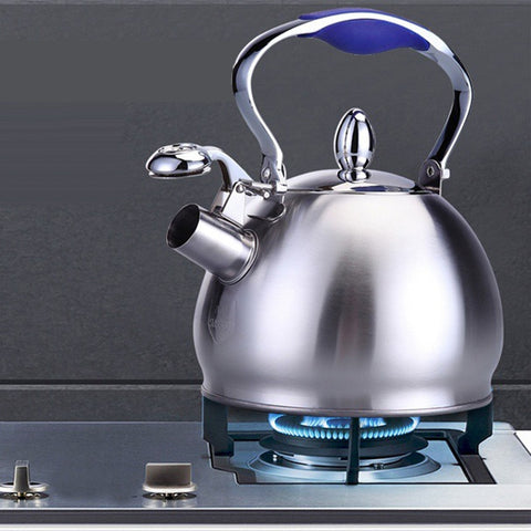 Image of Stainless Steel Whistling Tea Kettle