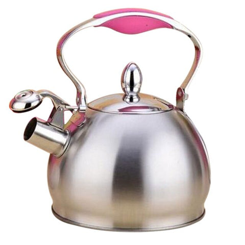 Image of Stainless Steel Whistling Tea Kettle